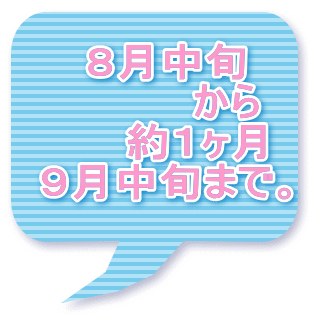W{ @@@@ @@P X{܂ŁB