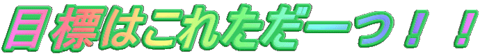 ڕW͂ꂽII